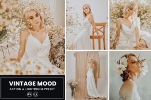 The purpose of this article is to give you inspiration with some great options, which will allow you to realize the power and usefulness of Lightroom and Photoshop presets.