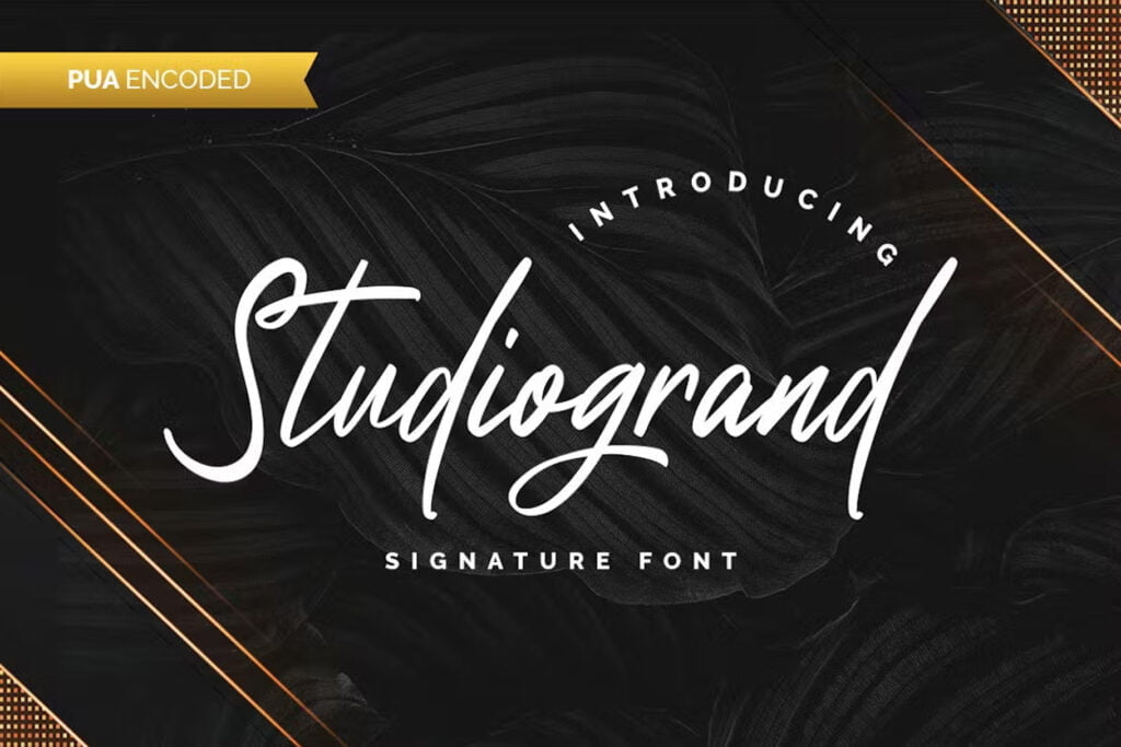 Best Signature Fonts